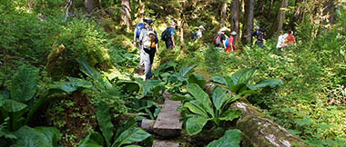 Guided Hikes 