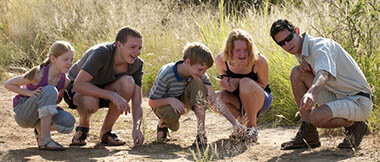 Guided Tours and Safaris