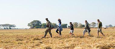 Guided Walking Safari