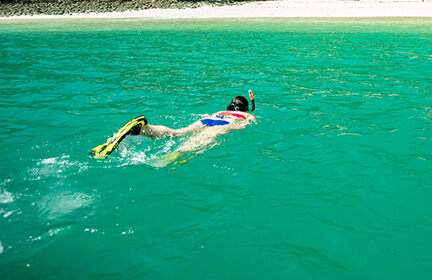 Snorkelling and Swimming