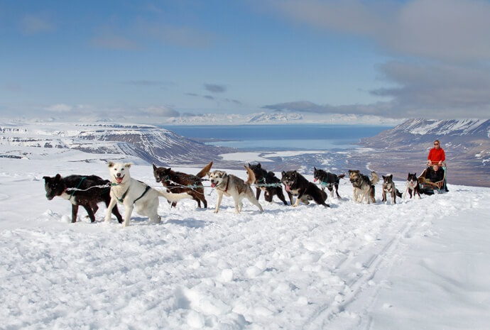 Spitsbergen Dog-Sledding Expedition 5 days