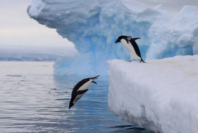 Ross Sea - In the Wake of Scott & Shackleton plus NZ Sub-Antarctic Islands 28 days