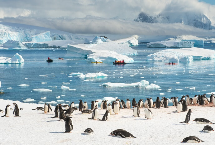 Antarctic Peninsula Inc Photo Workshop 12 days
