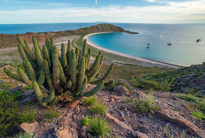 Mexico – Baja’s Bounty Cruise 8 Days