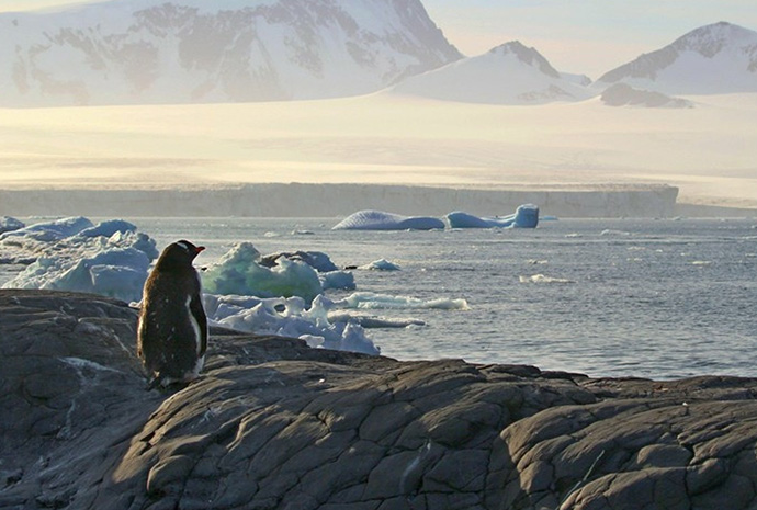 Remote Weddell Sea Explorer 28 Days