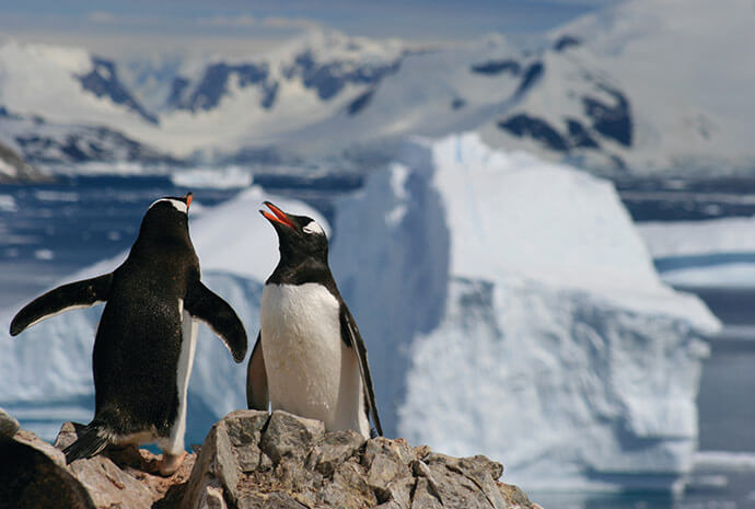 Luxury Antarctica - Fly/Cruise/Fly - International Flights Included