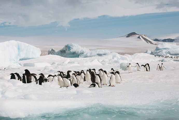 Luxury Antarctica Deep South in Depth