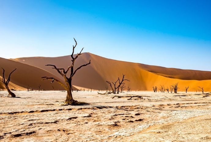 Dunes to Falls: A Self-Drive Safari 20 days