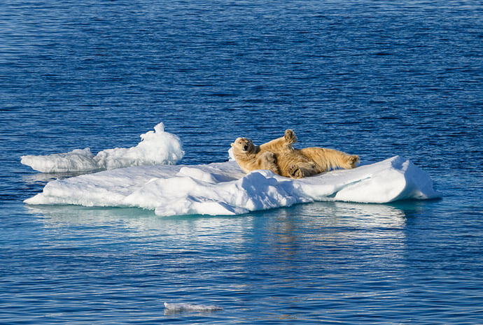 Svalbard in Depth – Land, Sea & Ice 11 Days