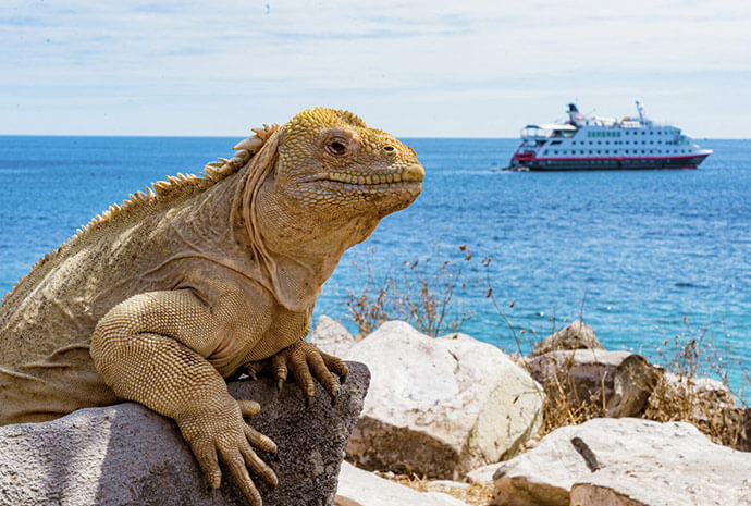 Nine of the Best Galapagos Islands 11 Days
