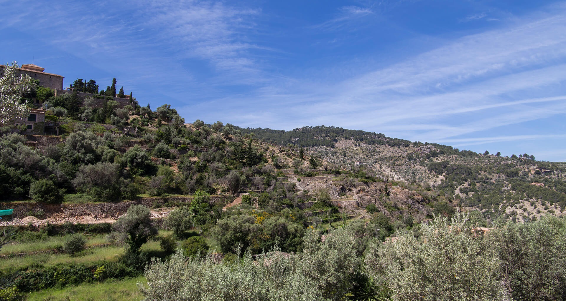 Deia, Fornalutx, Soller and West  Villa Gallery